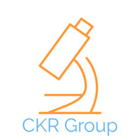 CKR Group - Talent Assessment and Development logo - Similar company to Talent Planning - Psychometric Assessment And Development Consultancy Services