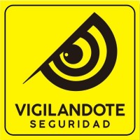 Vigilante Virtual Ldta