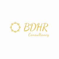 BDHR consultancy logo - Similar company to Ce Career Services