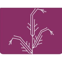 Amaranth Medical Analytics logo - Similar company to Gawds (Graphics And Web Development Squad)