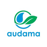 Auditorias y Consultorias logo - Similar company to Serviu