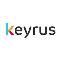 Keyrus logo - Similar company to Team Resilience