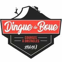 Dingue de boue logo - Similar company to Jp2A Genese