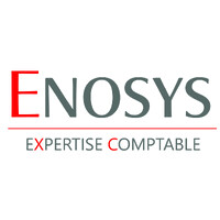 ENOSYS logo - Similar company to Enosys Solutions