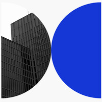 Levior Consulting logo - Similar company to Grow Notes