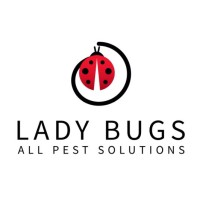 Lady Bugs All Pest Solutions