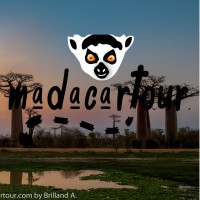 Info MADACARTOUR logo - Similar company to Cthr Madagascar