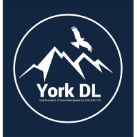 York Data Labs logo - Similar company to Anywhere Sim