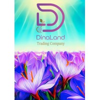 Dinaland saffron company logo - Similar company to Alefba