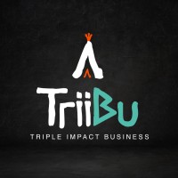 TriiBu logo - Similar company to Nova-Tic Chile