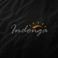 INDONGA TRAVEL logo - Similar company to Dial-A-Picnic