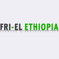 Fri-El Ethiopia Farming and Processing PLC. logo - Similar company to Aps Phoenix @ Food Ingredients