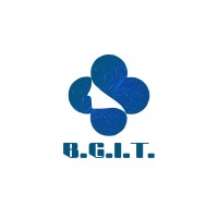 BGIT Group logo - Similar company to Dynasty Technologies