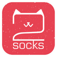 2Socks 1Cat