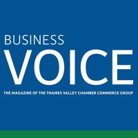Business Voice Magazine logo - Similar company to Natural Stone Journal