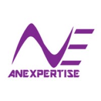 Anexpertise logo - Similar company to Icontrolify Technologies (India | Usa)