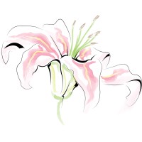 NGO'en Rosebud logo - Similar company to *Estel