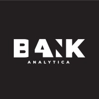 Blank Analytica logo - Similar company to Web Ignito