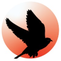 Gyrfalcon IntelliEdge Solutions India Pvt Ltd logo - Similar company to Klin Space