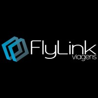 FlyLink Viagens logo - Similar company to Drivin Sistemas