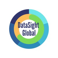 DataSight Global logo - Similar company to Datasight®