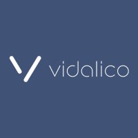 Vidalico Digital logo - Similar company to Le Cercle Bc