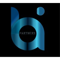 Business Intelligence BI Partners logo - Similar company to Business Intelligence Doclens Group