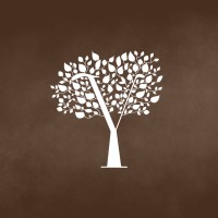 Agência Chayim | Marketing Digital logo - Similar company to Agência Nave