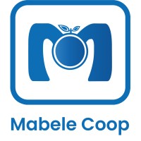 MABELE KIVU logo - Similar company to Afrique Franchise