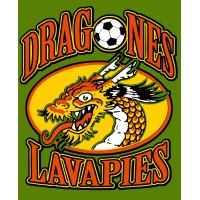 Dragones de Lavapiés logo - Similar company to Equal Goals Foundation