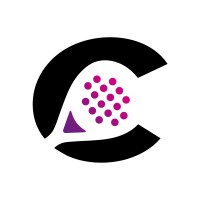PadelCity logo - Similar company to The Padel Lab