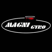 MAGNI GYRO SRL logo - Similar company to Ar1