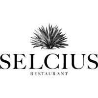 Selcius logo - Similar company to Selcius Partners, Llc