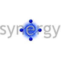 Synergy Controls FZCO logo - Similar company to Base Control Tech Fzc