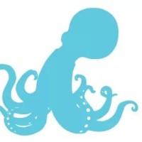 Octo Lights logo - Similar company to Uno Lighting