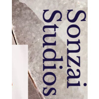 Sonzai Studios logo - Similar company to Aime
