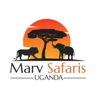 Marv Safaris Uganda logo - Similar company to Safari Update Travels