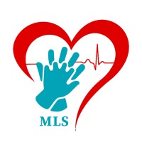 Moroccan Life Support Association logo - Similar company to Aim Training Academy