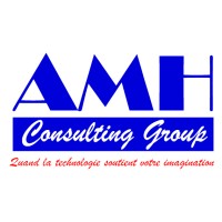 AMH Consulting-Group logo - Similar company to Loov Solutions