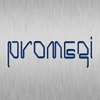 PROMEGI logo - Similar company to Fulltech Casting De México