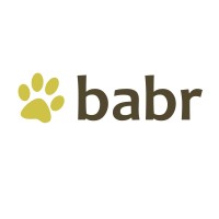 babr OÜ logo - Similar company to Darius Pro