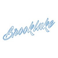 Brooklake Group logo - Similar company to Maxcreate
