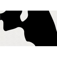 Mania logo - Similar company to Mania