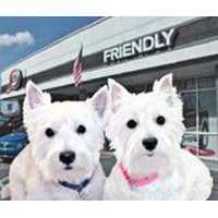Friendly Kia