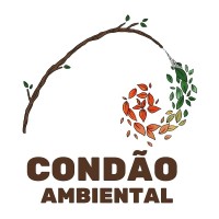 Condão Educação Ambiental logo - Similar company to Laboratório De Sementes E Mudas Florestais - Ufscar