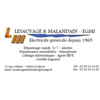 ENTREPRISE D'ELECTRICITE LESAUVAGE ET MALANDAIN logo - Similar company to C.Dis