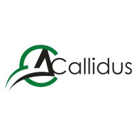 Callidus logo - Similar company to Tectoy
