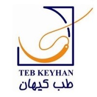 NASG Teb Keyhan logo - Similar company to Bmp Pack