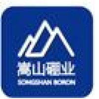 Zhengzhou SongShan Boron Carbide Sales Co.,Ltd. logo - Similar company to The Hunted