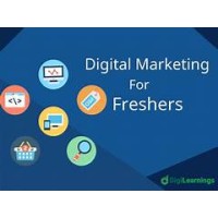 Star Digital AD Agency logo - Similar company to Paras Digital Ad Agency